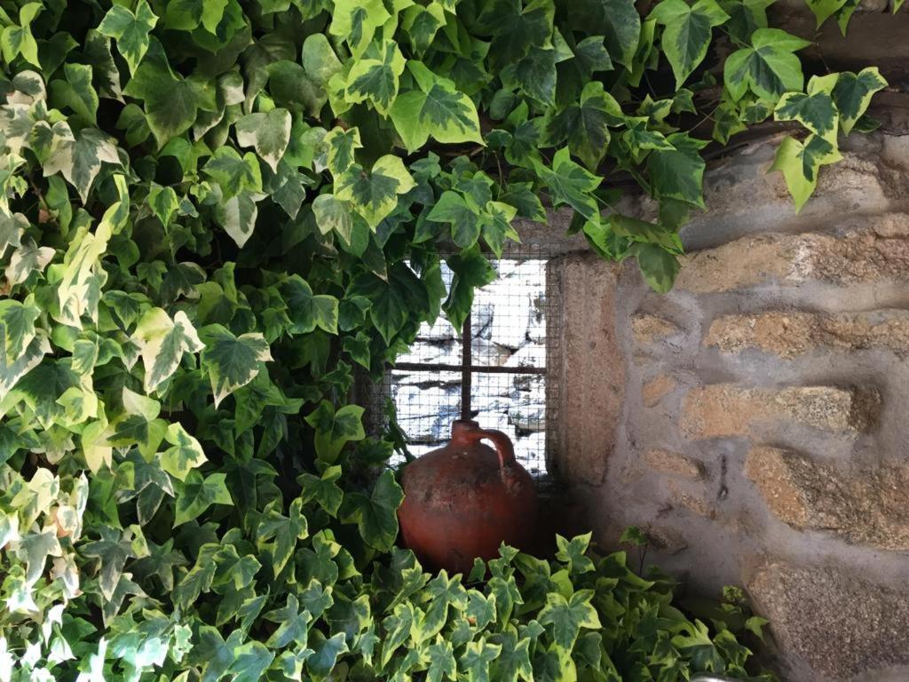 Neila de San Miguel El Capricho De Ana 빌라 외부 사진